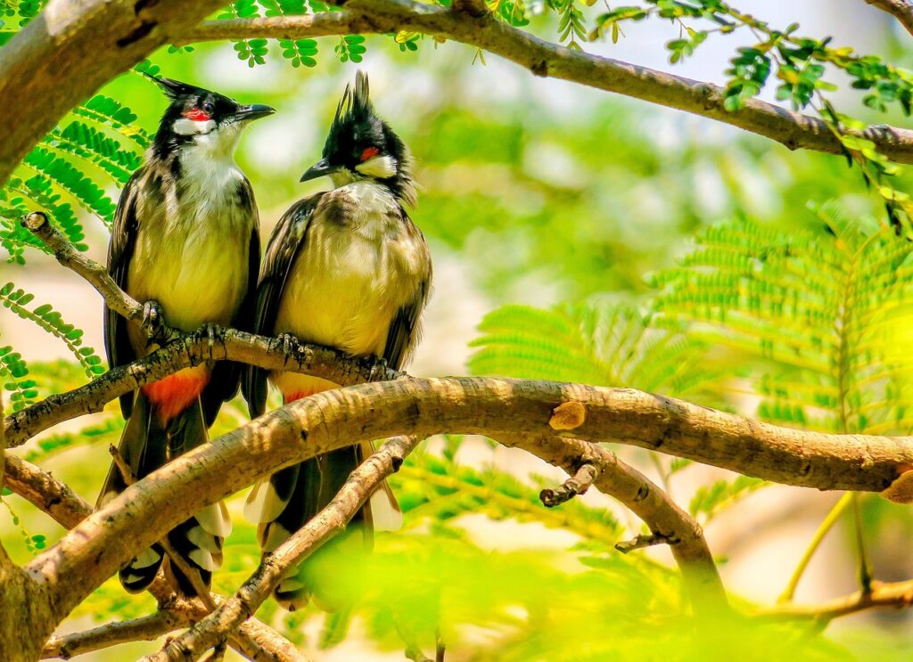 発達グレーゾーンの子どもを持つPTAはどうする？