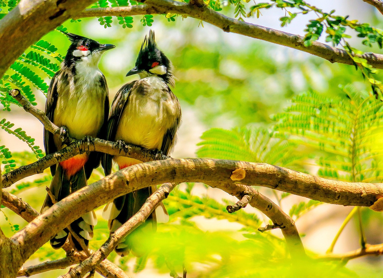 発達グレーゾーンの子どもを持つPTAはどうする？