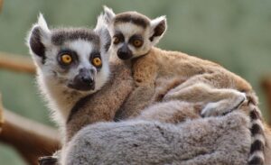 発達障害グレーゾーンの子を持つママ友との公園での付き合い方は？