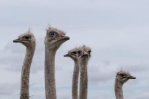 発達グレーゾーンの中学生が勉強についていけない理由と解決策は？
